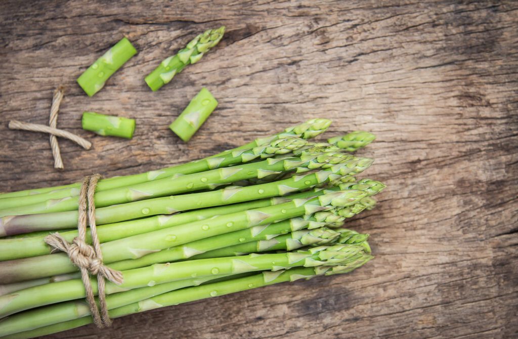 Tanaman Asparagus
